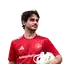Skufca